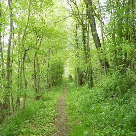 La Clef Des Champs Piscine Ortance