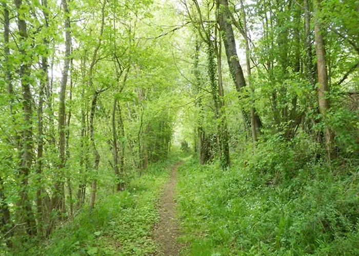 La Clef Des Champs Piscine Ortance